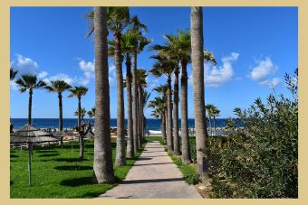 Why Paphos is the Dream Destination Wedding Location?